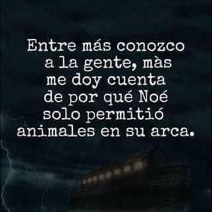 Meet your Posher, Denia